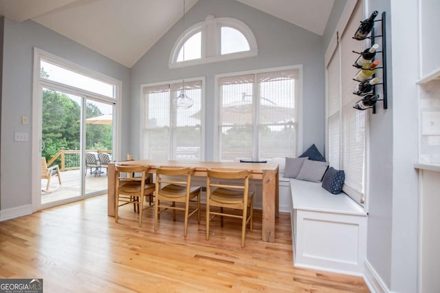 1745 Stripling Chapel Rd, Carrollton, GA 30116 - dining area featuring light wood-style flooring, lofted ceiling, and a wealth of natural light