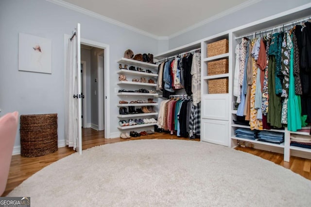 1745 Stripling Chapel Rd, Carrollton, GA 30116 - walk in closet featuring wood finished floors