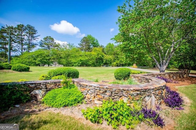 1745 Stripling Chapel Rd, Carrollton, GA 30116 - view of yard