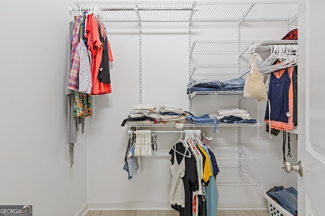 spacious closet featuring wood finished floors