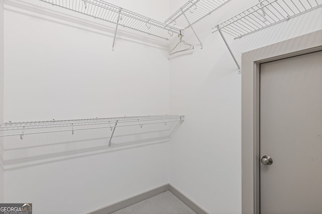view of walk in closet