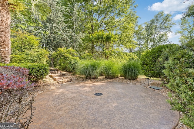 view of yard featuring a patio area
