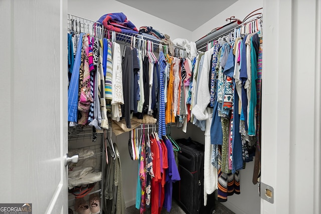 view of spacious closet