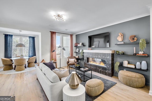 208 Village Overlook Unit J3, Canton, GA 30114 - living room featuring wood finished floors, a fireplace, and baseboards
