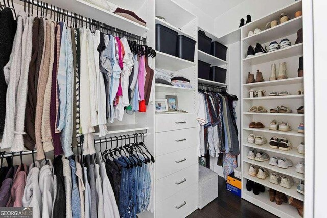 walk in closet featuring dark wood-type flooring