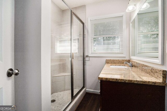 full bathroom featuring vanity, plenty of natural light, and a shower stall