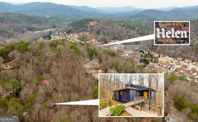49 Baum Weg, Helen, GA 30545 - drone / aerial view with a mountain view