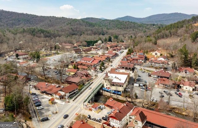 49 Baum Weg, Helen, GA 30545 - bird's eye view with a mountain view and a forest view