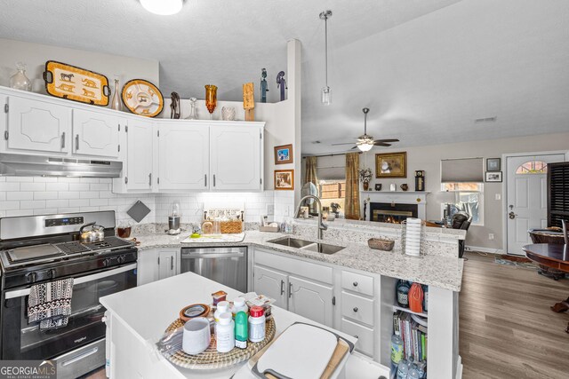 kitchen featuring appliances with stainless steel finishes, a sink, a peninsula, white cabinetry, and under cabinet range hood