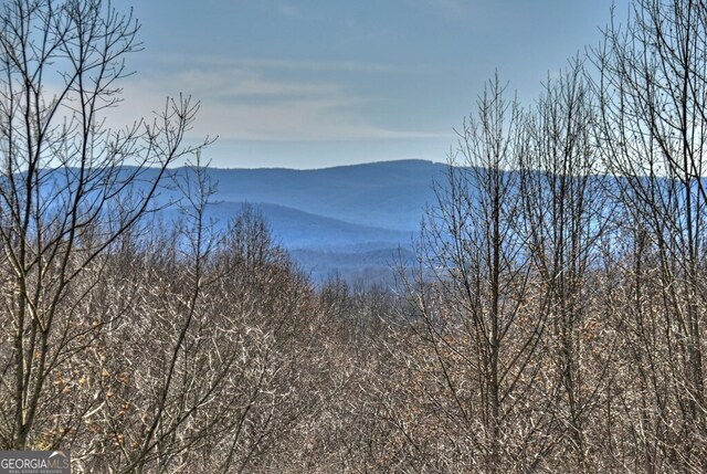 mountain view
