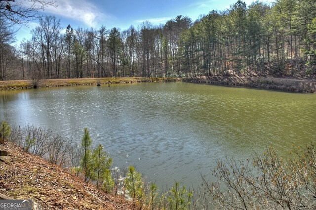 view of water feature featuring a view of trees
