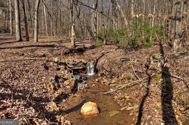 view of local wilderness with a forest view