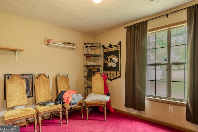 sitting room featuring carpet floors, a textured ceiling, and baseboards