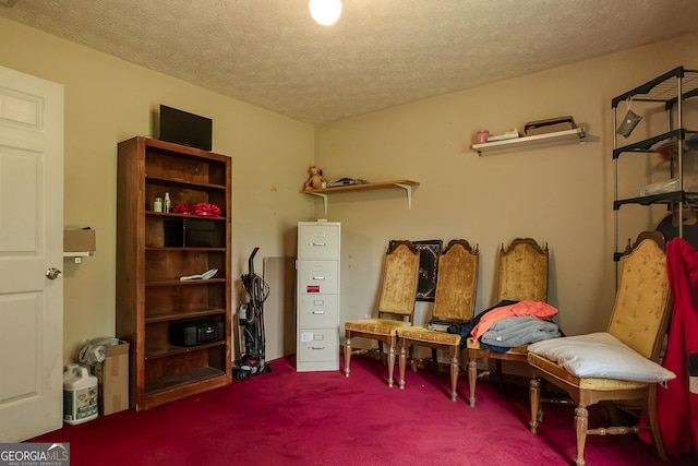 living area with carpet flooring and a textured ceiling