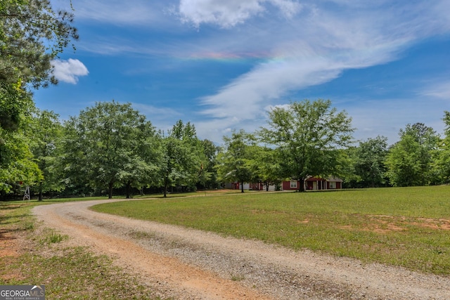 view of street with dirt driveway