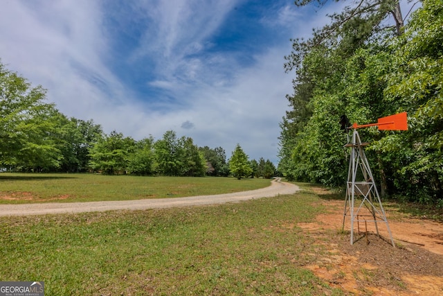 view of community featuring a yard