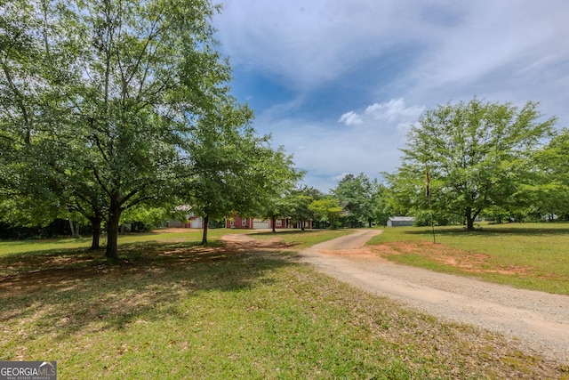 view of road featuring dirt driveway