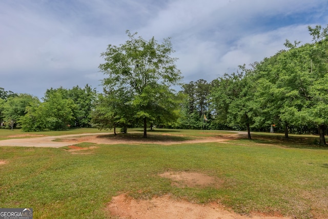 view of community with a lawn