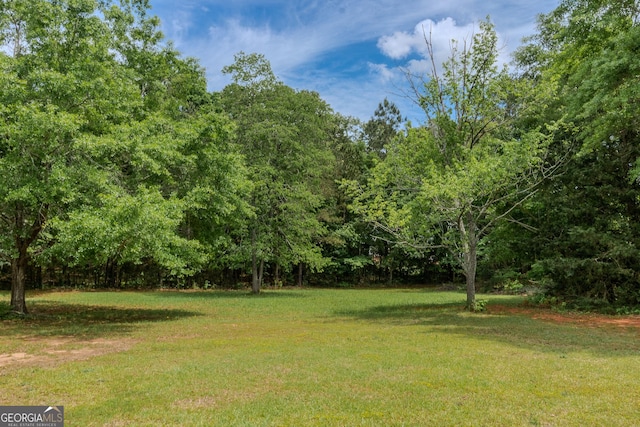 1170 Peeksville Rd, Locust Grove, GA 30248 - view of yard