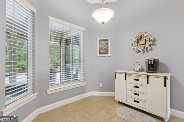interior space with baseboards and plenty of natural light