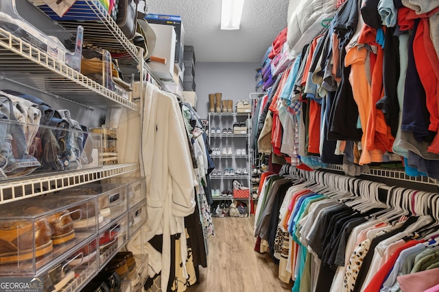 walk in closet featuring wood finished floors