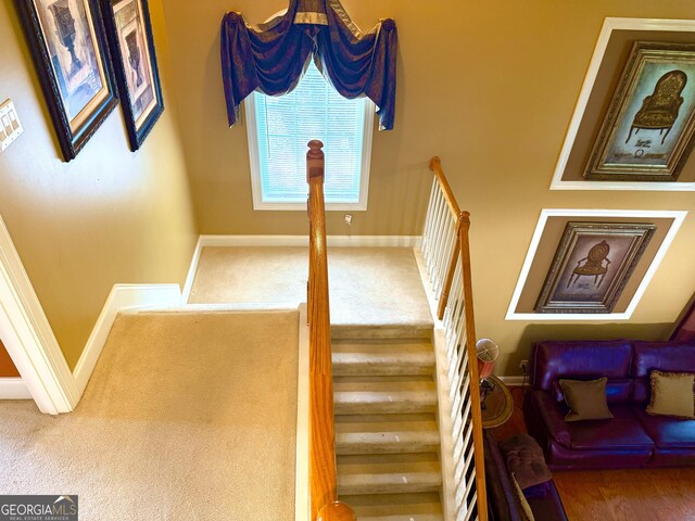 stairs with baseboards and carpet
