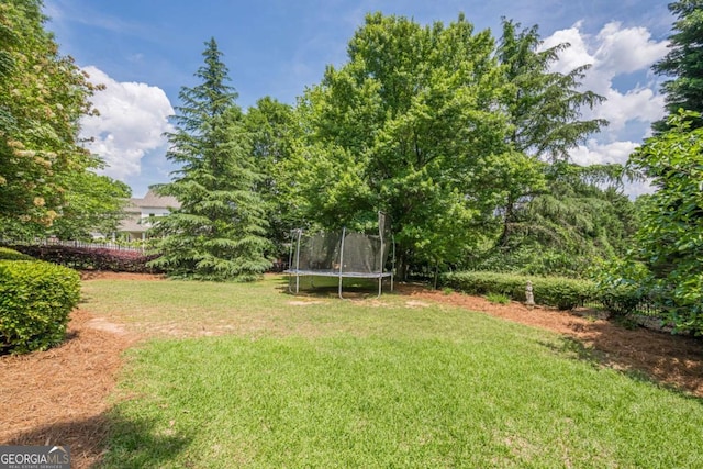 view of yard featuring a trampoline