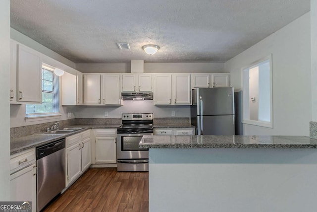 5723 Fieldstone Dr, Lithonia, GA 30038 - kitchen with white cabinetry, a sink, appliances with stainless steel finishes, and under cabinet range hood