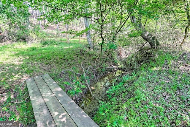 view of local wilderness