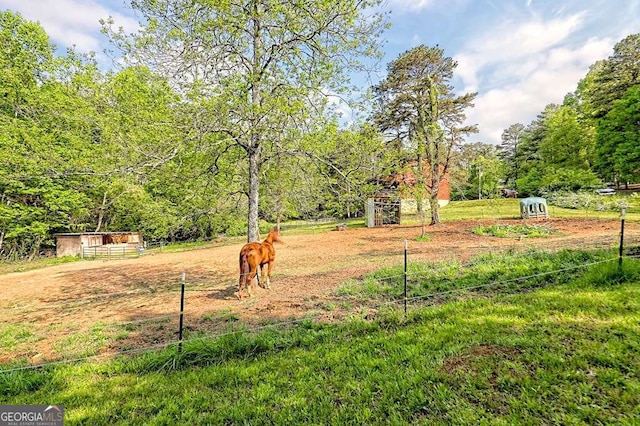 428 Gibbs Rd, Blairsville, GA 30512 - view of yard