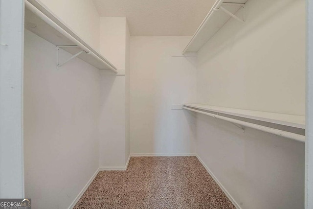 spacious closet featuring carpet