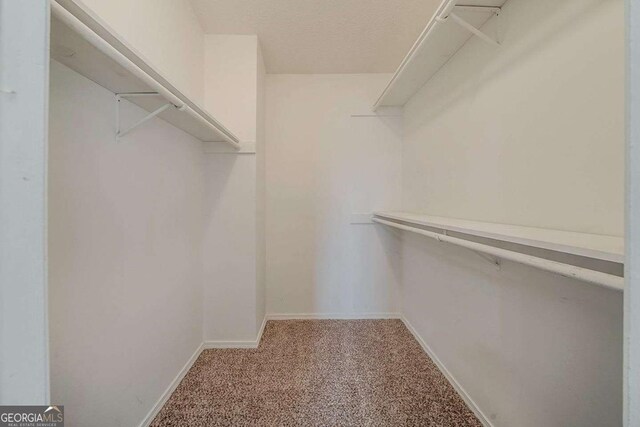 6351 Stablewood Way, Lithonia, GA 30058 - spacious closet with carpet