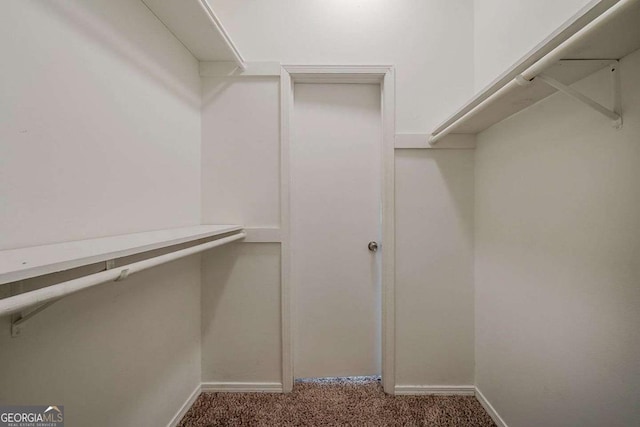 walk in closet featuring carpet
