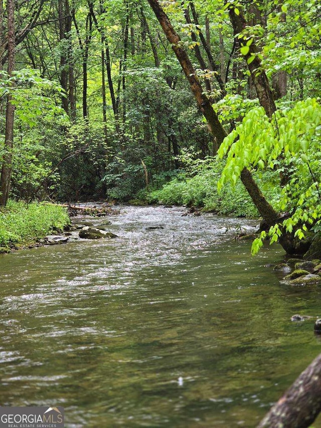 property view of water with a forest view