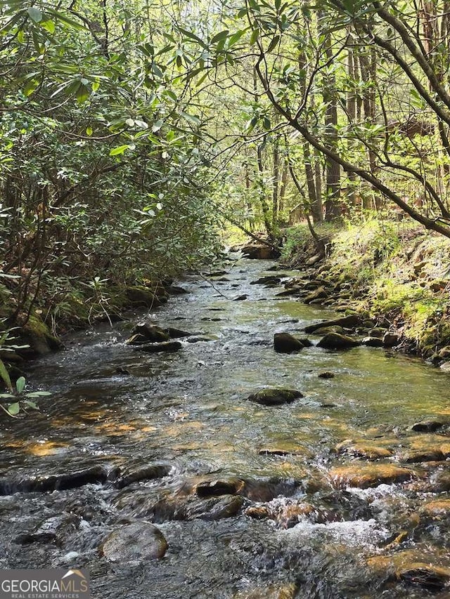 view of local wilderness