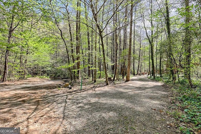 view of street featuring a wooded view