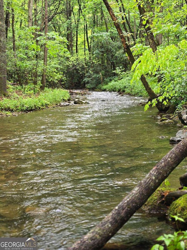 water view featuring a wooded view