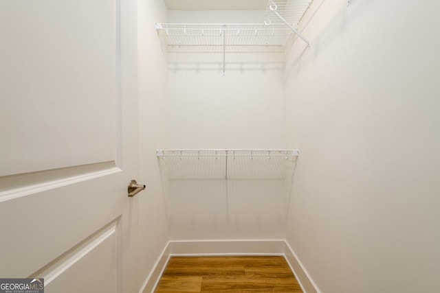 spacious closet featuring wood finished floors