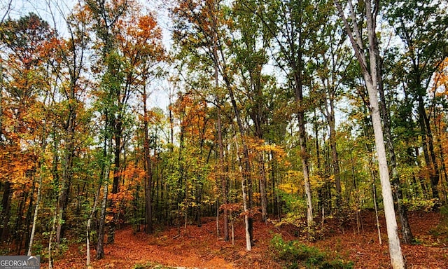 view of landscape with a forest view
