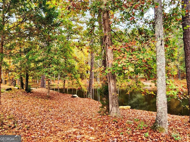 view of local wilderness