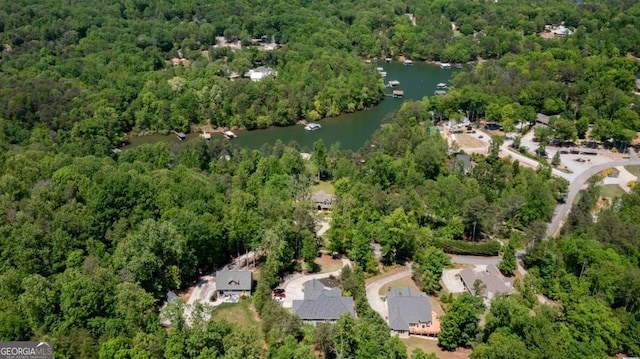 birds eye view of property with a water view and a forest view