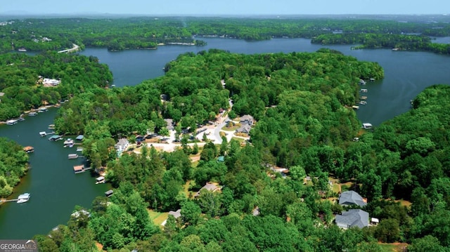 birds eye view of property featuring a water view and a forest view