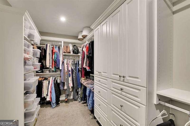 spacious closet with carpet