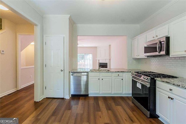 kitchen featuring appliances with stainless steel finishes, light stone counters, a sink, white cabinetry, and dark wood-style floors