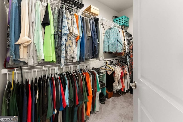 spacious closet with carpet