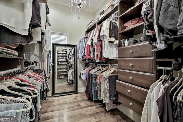 walk in closet with wood finished floors