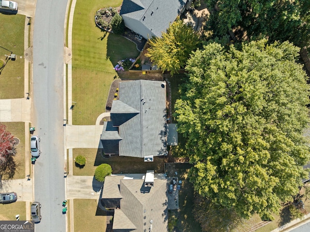 bird's eye view