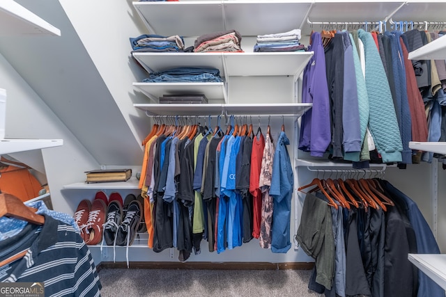 spacious closet with carpet flooring