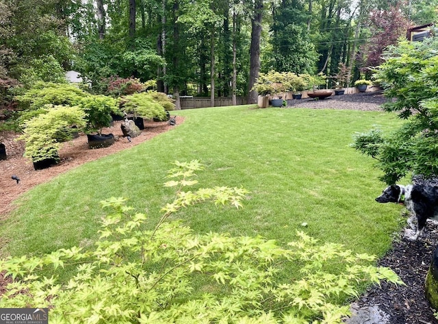view of green lawn