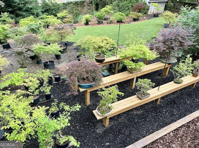view of yard with a garden